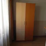 Zimbru