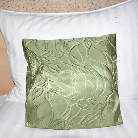 Zimbru 2* Cluj-Napoca