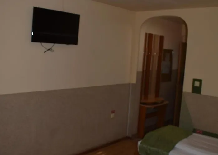 Zimbru Hotel 2*