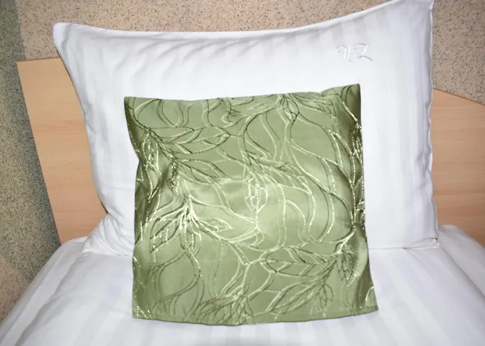 Zimbru 2* Cluj-Napoca